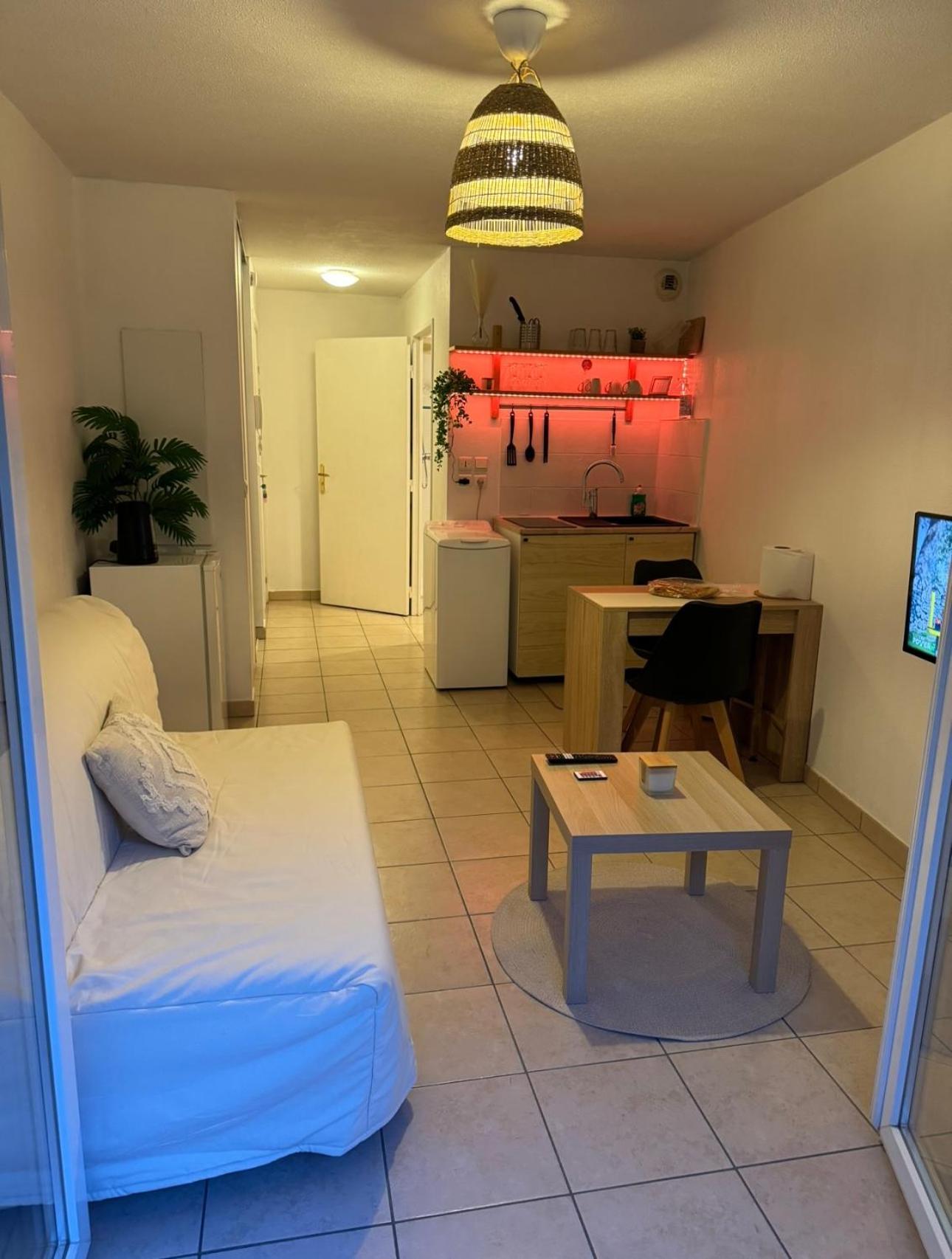 Studio Confortable Avec Vue ニース エクステリア 写真